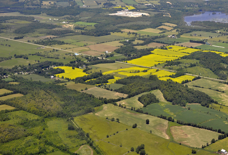 Flamborough Rural Landscape